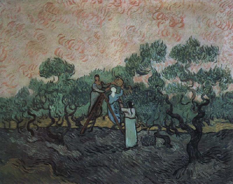the olive pickers,saint remy,1889, Vincent Van Gogh